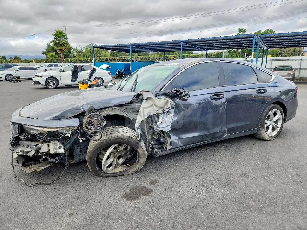 Honda Accord 1.5L 4 2023