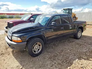 Dodge Dakota 3.7L 6 2004