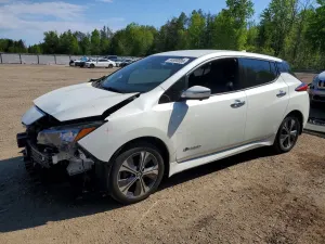 Nissan Leaf 0.0L 0 2019