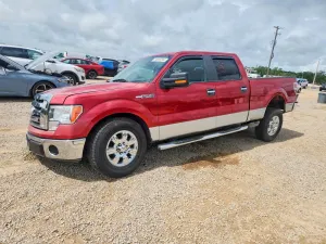 Ford F-150 4.6L 8 2009