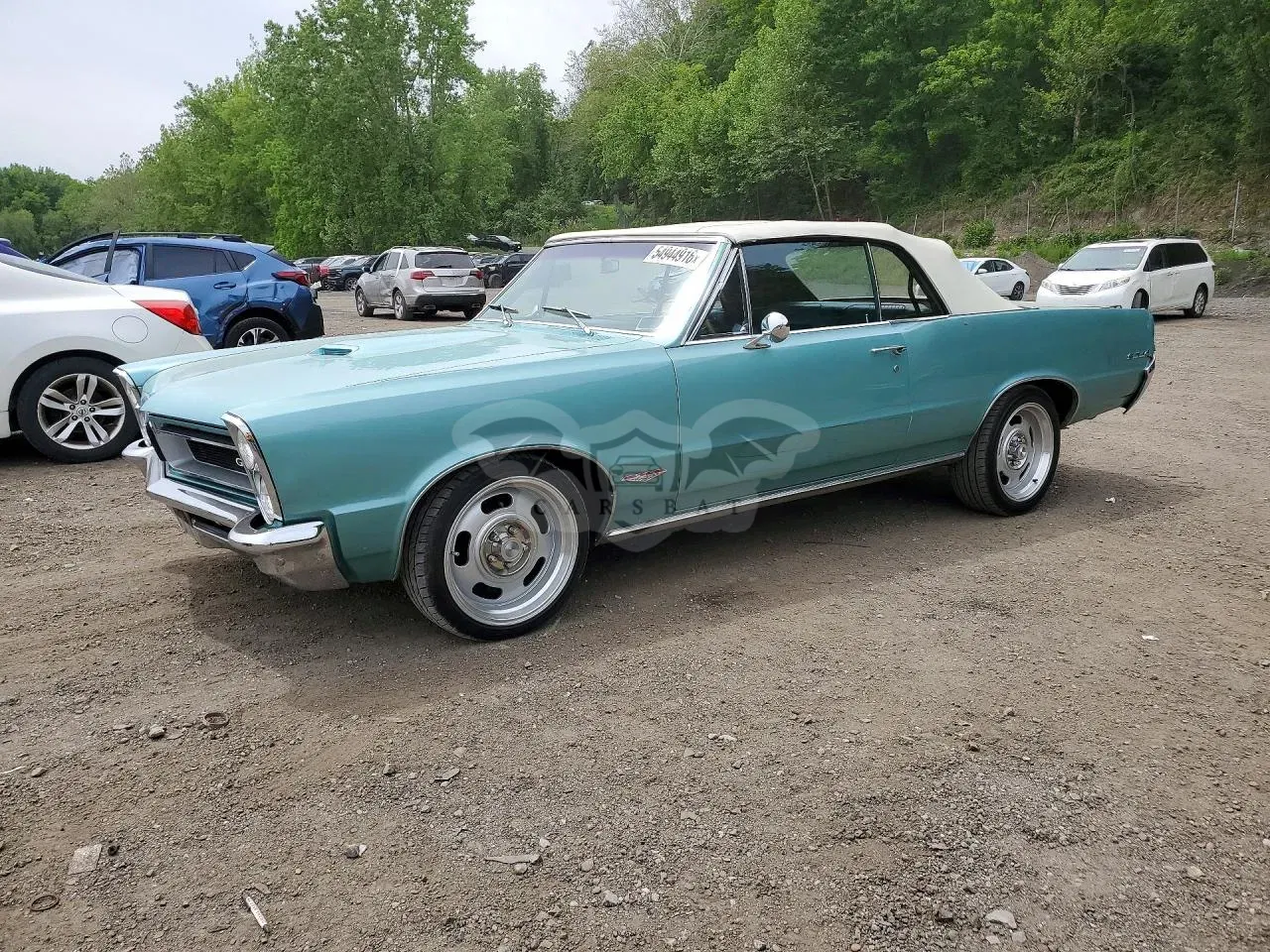 Pontiac GTO 1965