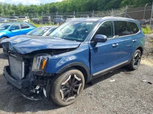 Kia Telluride 3.8L 6 2025