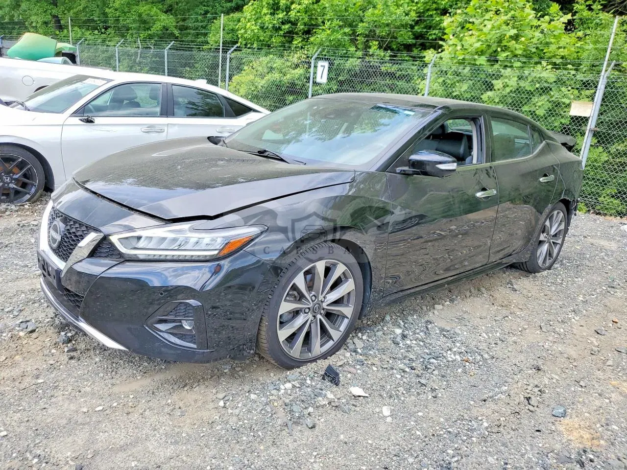Nissan Maxima 3.5L 6 2023