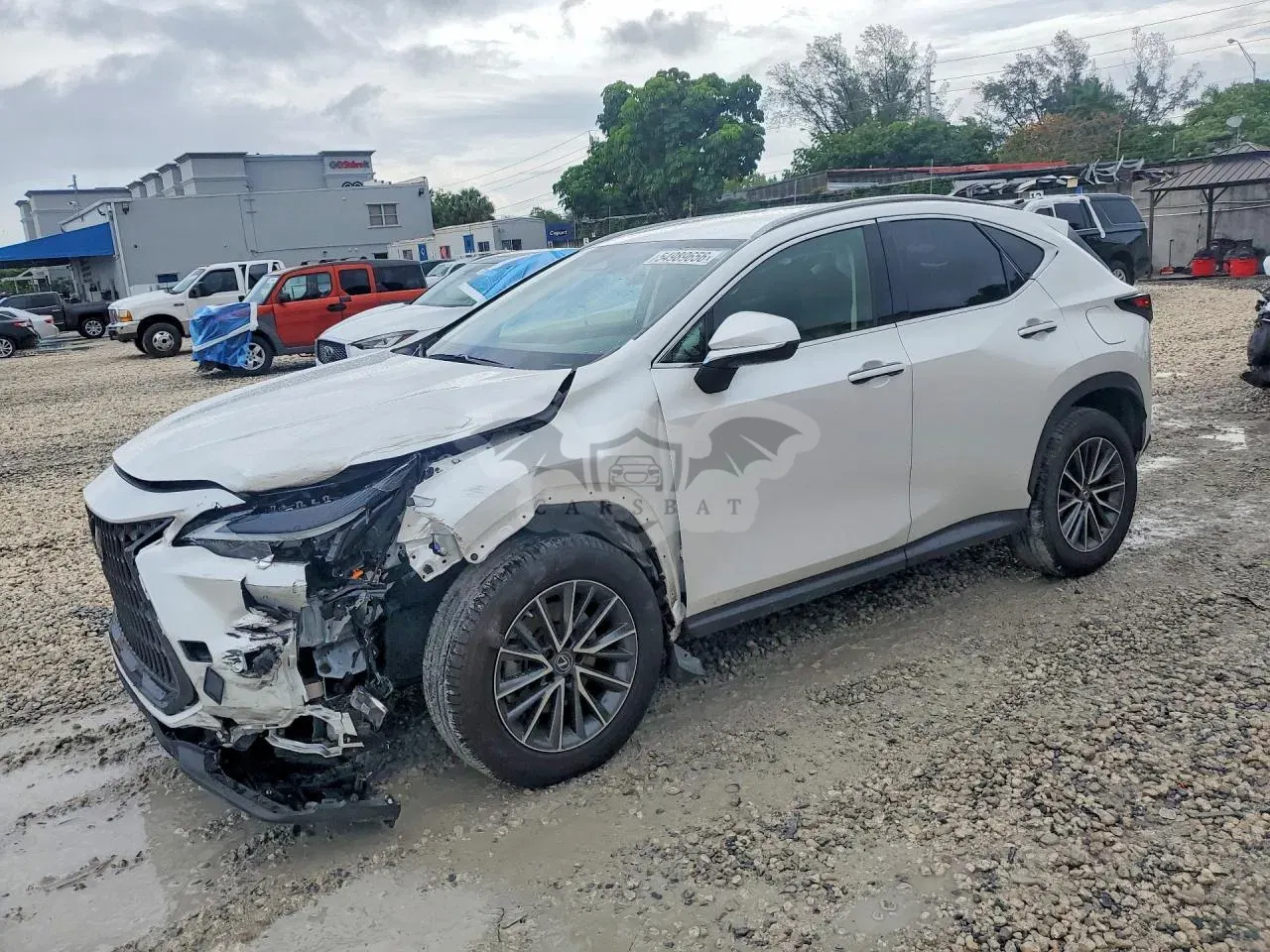 Lexus NX 2.5L 4 2023
