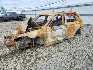 Volkswagen Tiguan 2.0L 4 2022