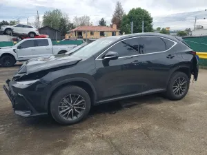 Lexus NX 2.4L 4 2023