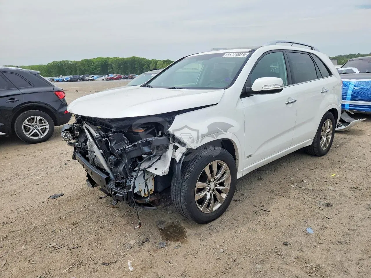 Kia Sorento 2013
