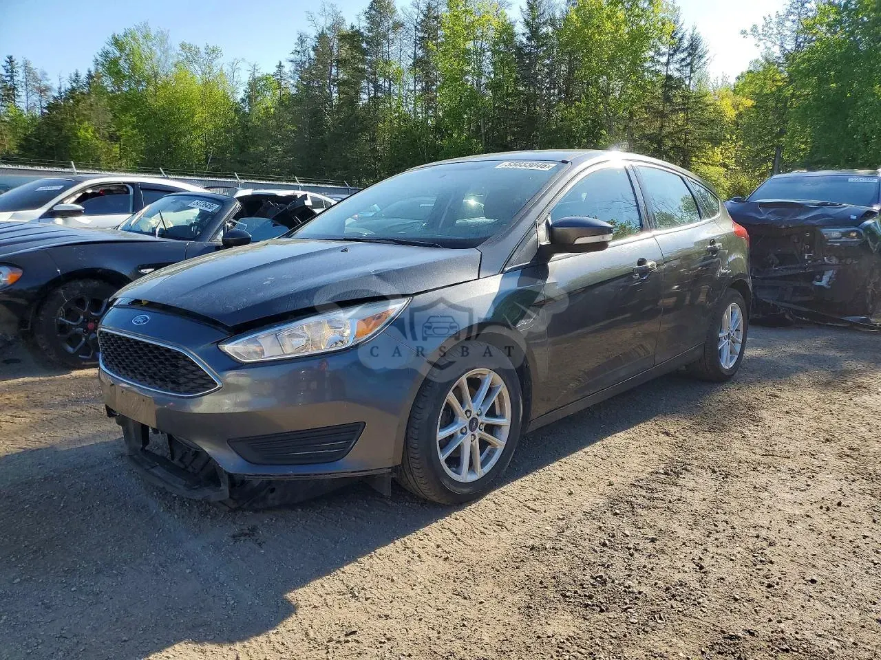 Ford Focus 2.0L 4 2017