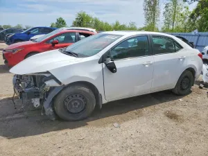 Toyota Corolla 1.8L 4 2019