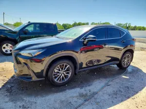 Lexus NX 2.4L 4 2024