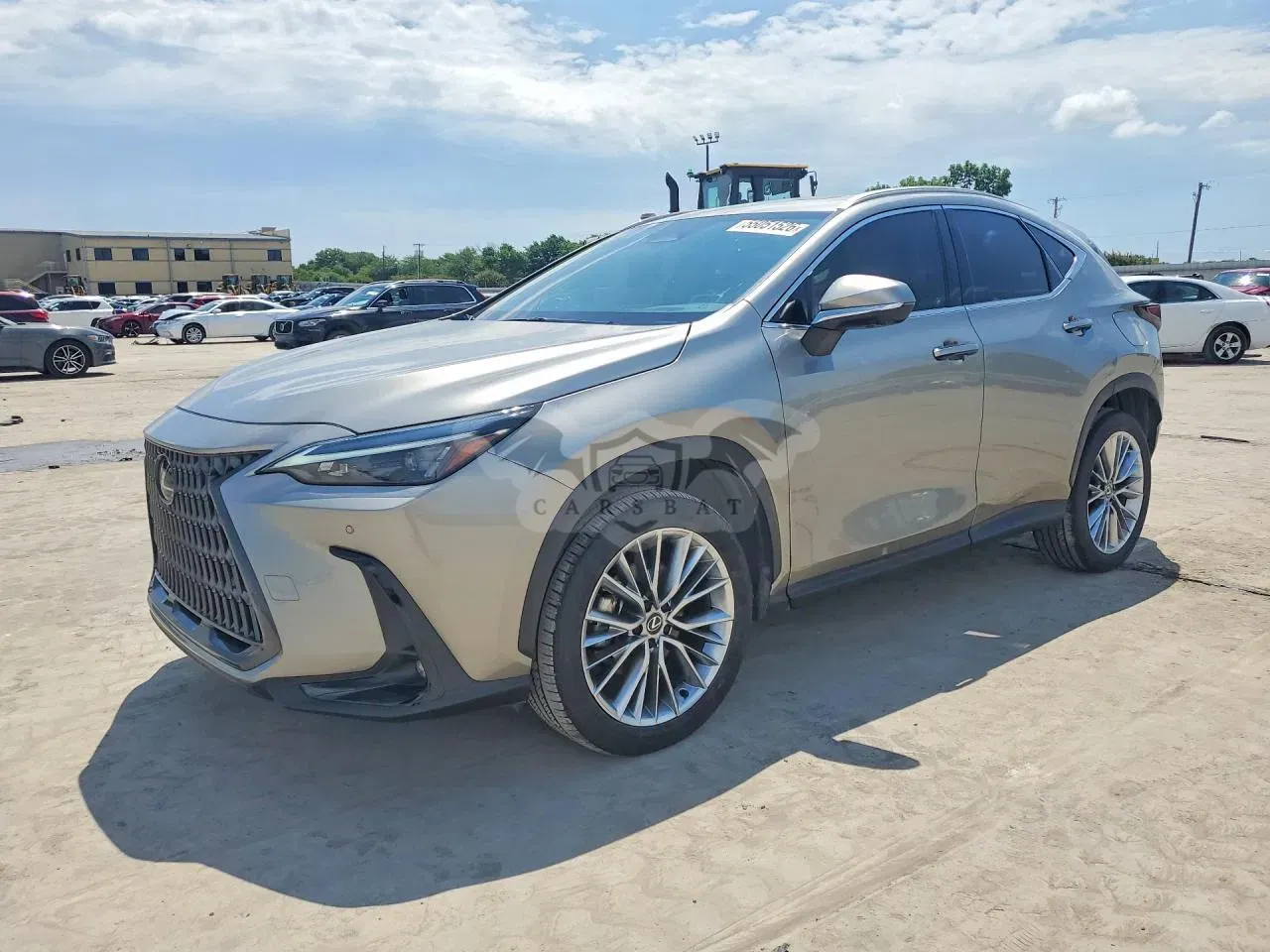 Lexus NX 2.4L 4 2025
