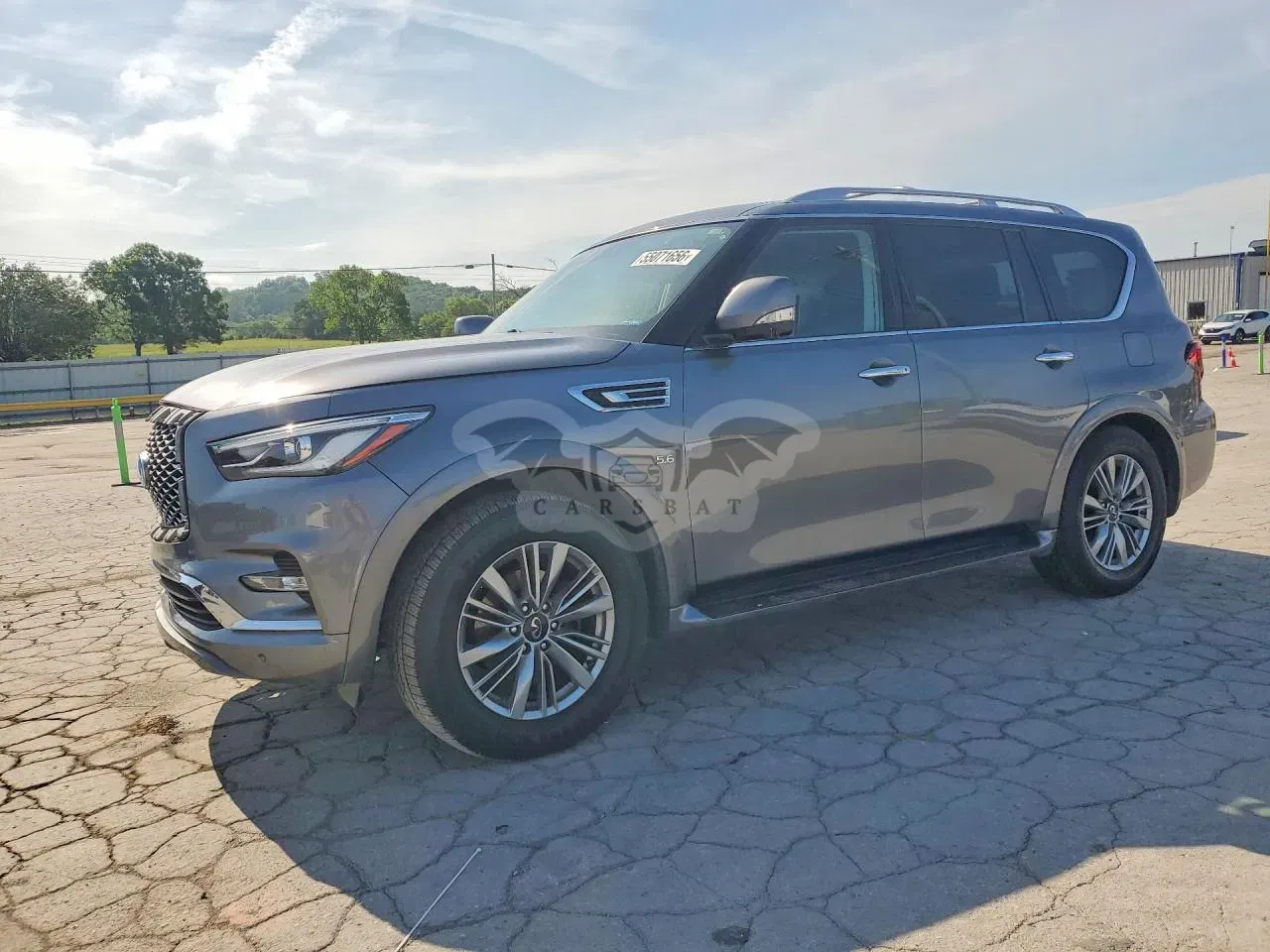 Infiniti QX80 5.6L 8 2019