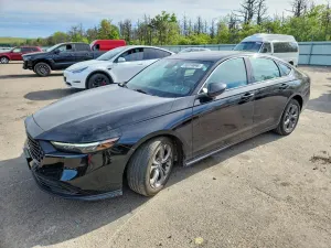 Honda Accord 1.5L 4 2024