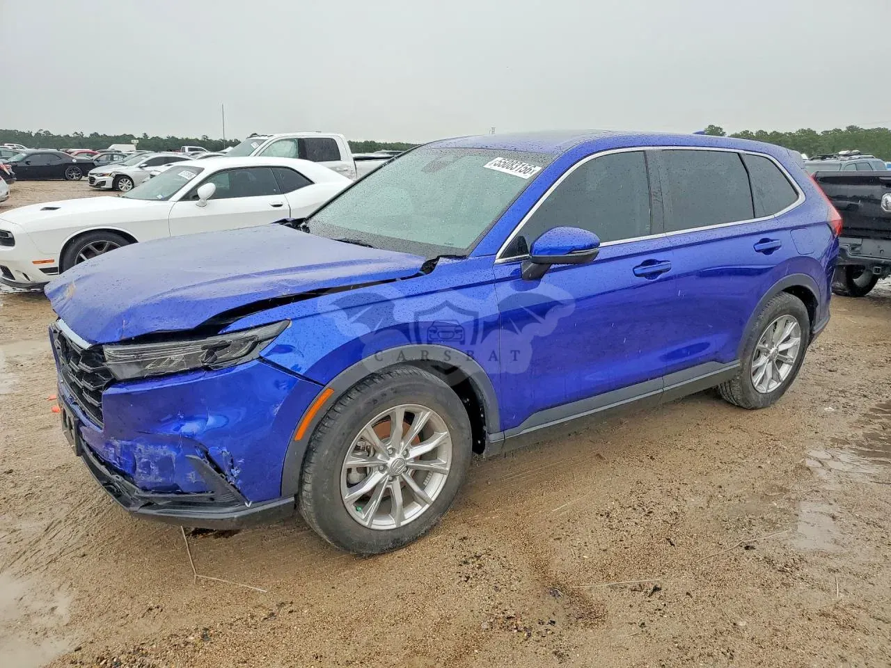 Honda CR-V 1.5L 4 2025