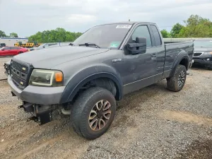 Ford F-150 4.6L 8 2005