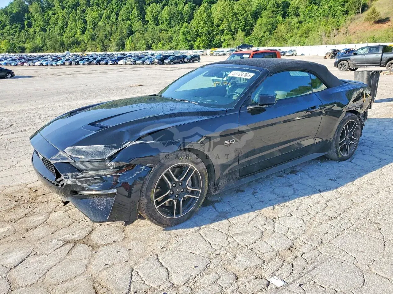 Ford Mustang 5.0L 8 2022