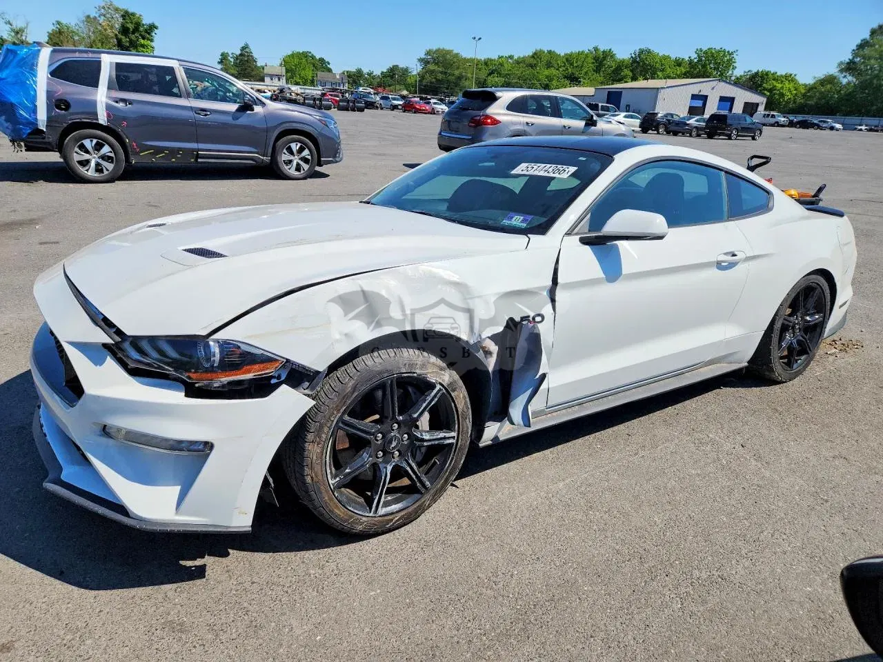 Ford Mustang 5.0L 8 2019