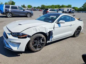 Ford Mustang 5.0L 8 2019