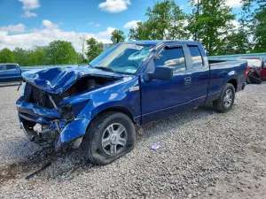 Ford F-150 5.4L 8 2007