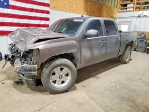 Chevrolet Silverado 1500 5.3L 8 2007