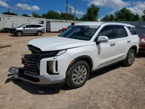 Hyundai Palisade 3.8L 6 2023