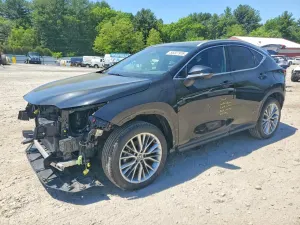 Lexus NX 2.4L 4 2024