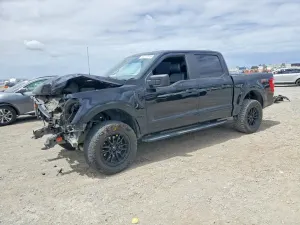Ford F-150 5.0L 8 2023