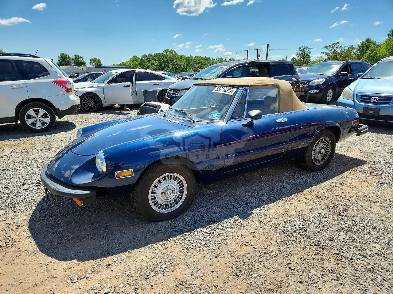 Alfa Romeo Spider 1979