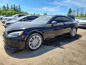 Audi S5 3.0L 6 2025