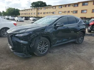 Lexus NX 2.5L 4 2025