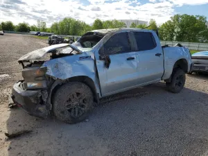Chevrolet Silverado 1500 5.3L 8 2020