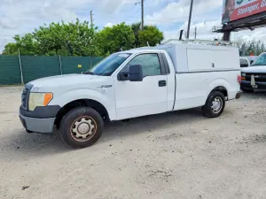 Ford F-150 4.6L 8 2010