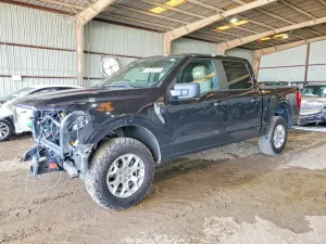 Ford F-150 5.0L 8 2023