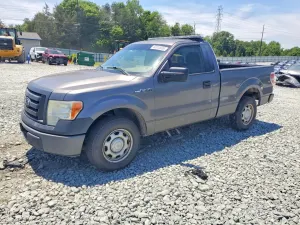 Ford F-150 4.6L 8 2010
