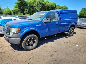 Ford F-150 4.6L 8 2010
