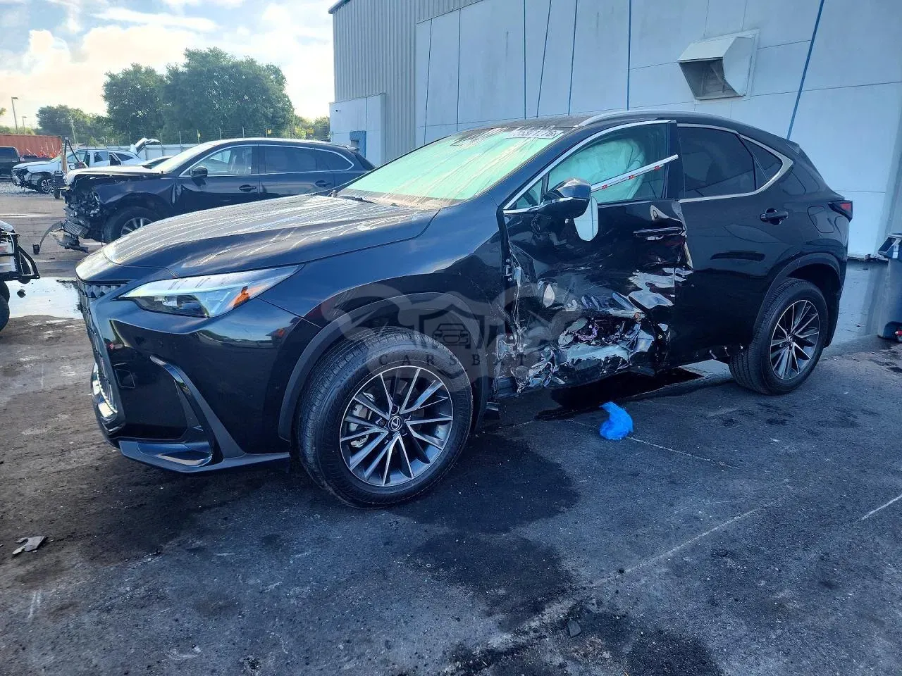 Lexus NX 2.5L 4 2025