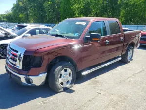 Ford F-150 4.6L 8 2010