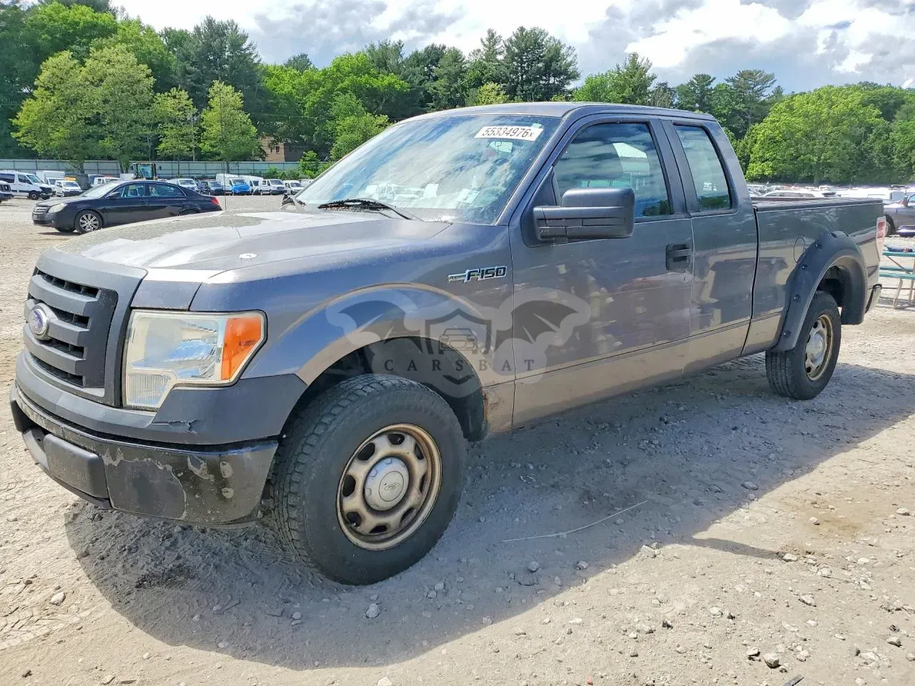 Ford F-150 4.6L 8 2010
