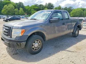Ford F-150 4.6L 8 2010