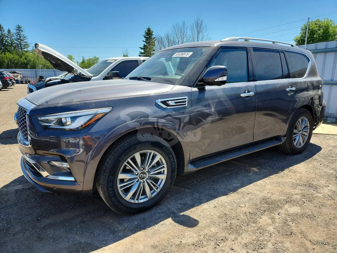 Infiniti QX80 5.6L 8 2024