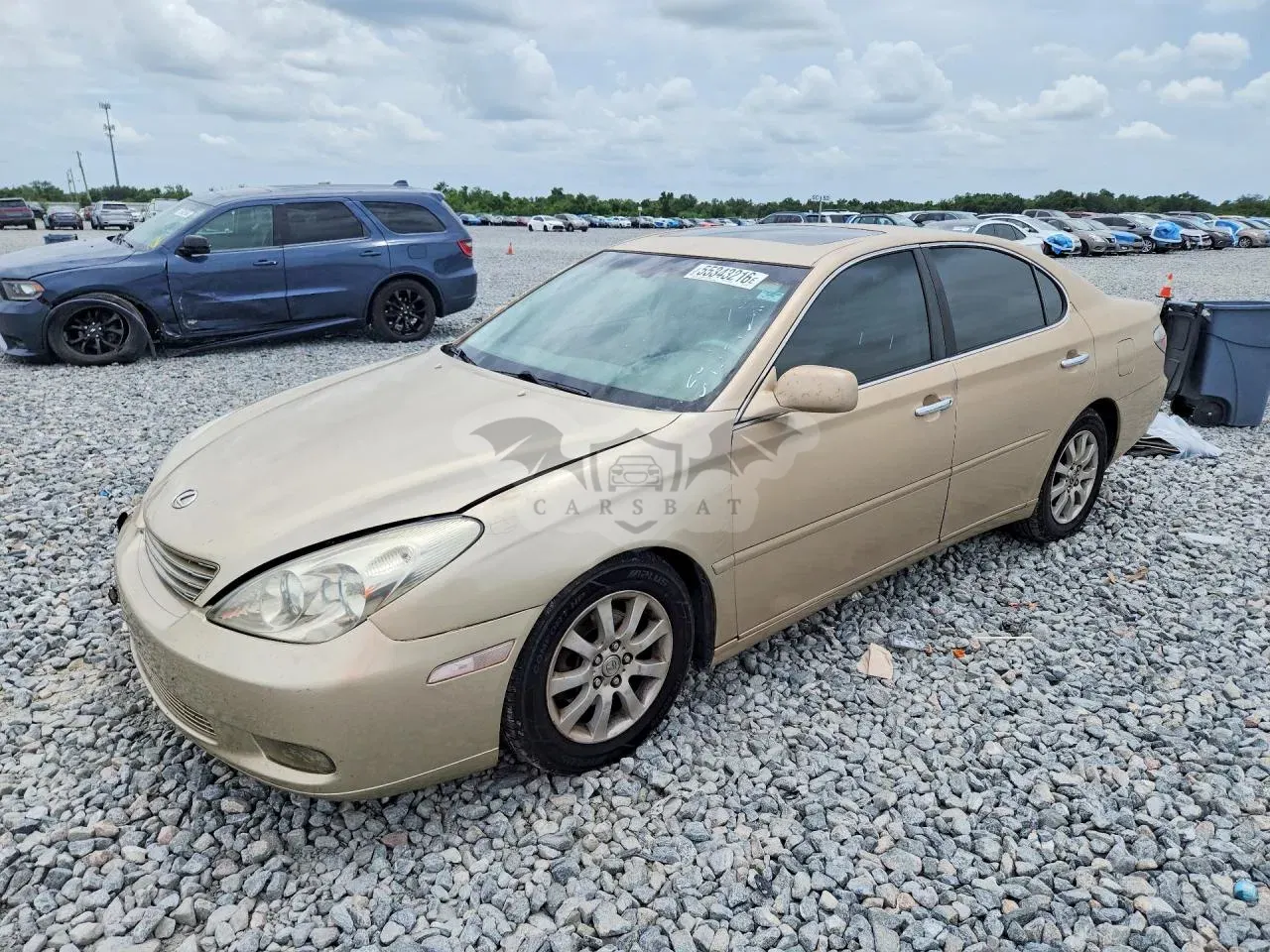 Lexus ES 3.3L 6 2004