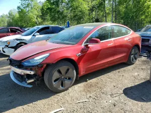 Tesla Model 3 2019