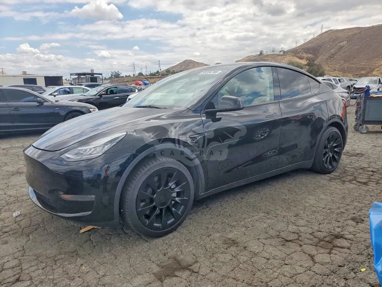 Tesla Model Y 2023