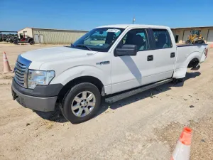 Ford F-150 4.6L 8 2010