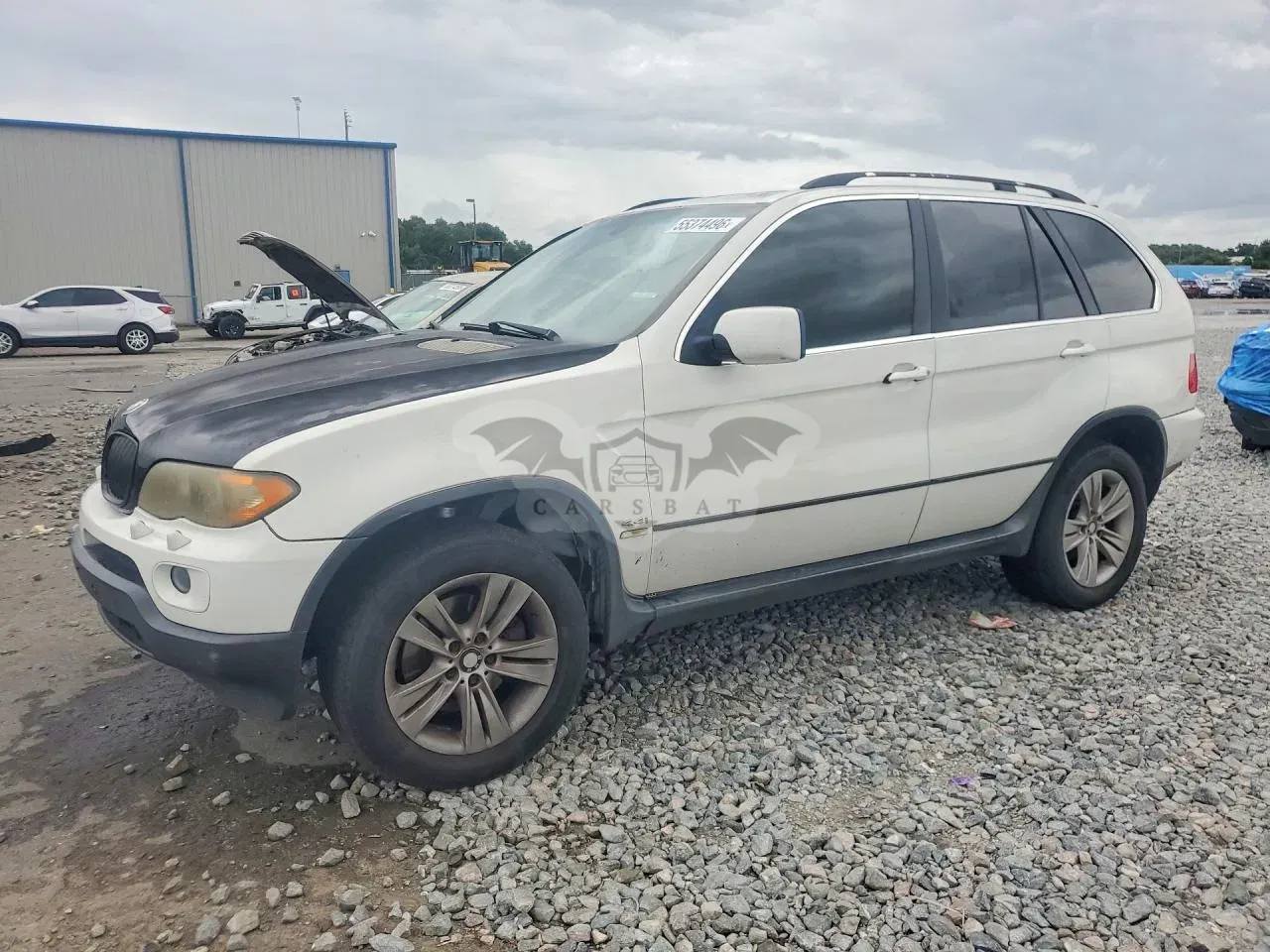 BMW X5 4.4L 8 2006