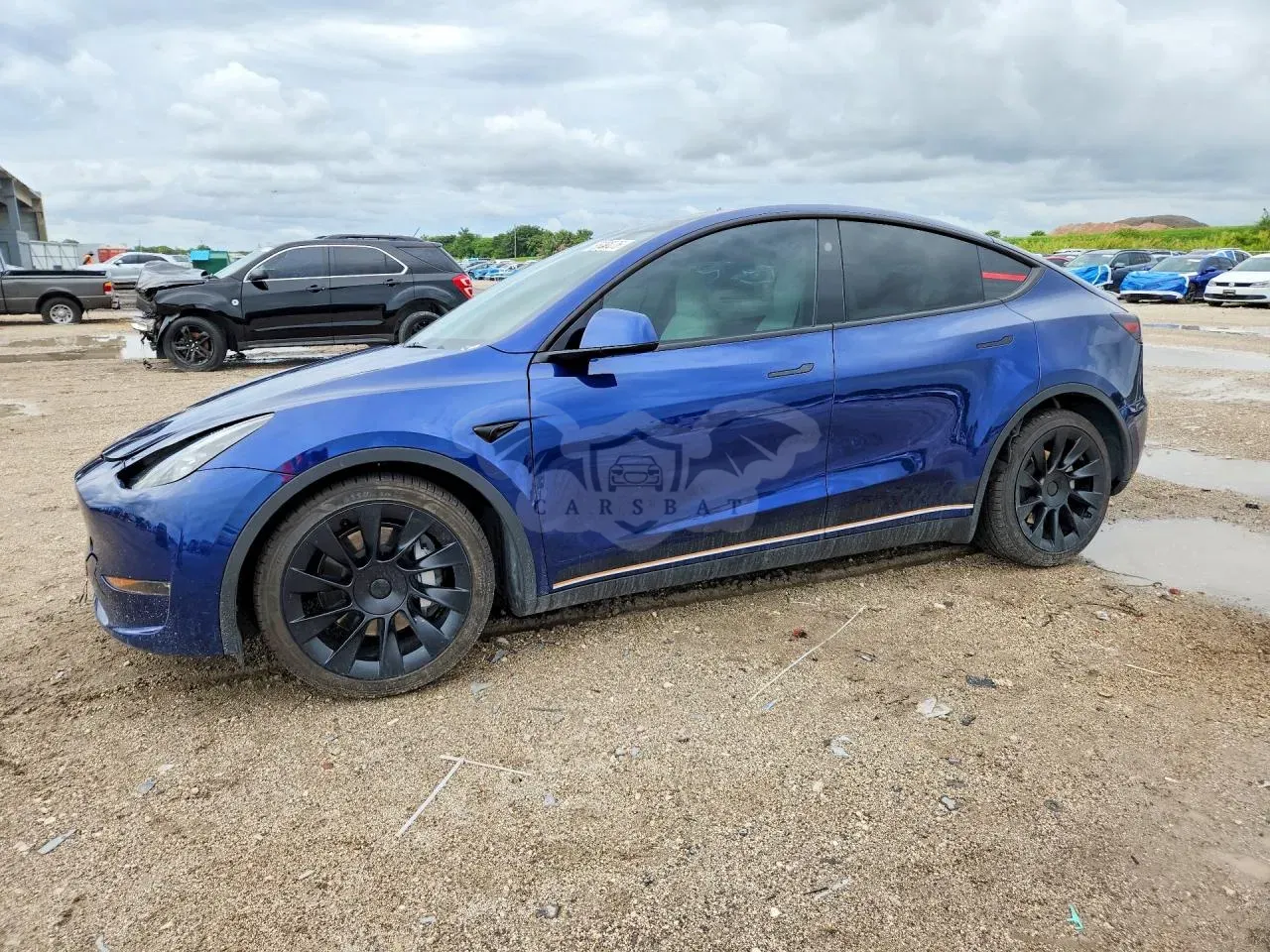 Tesla Model Y 2024