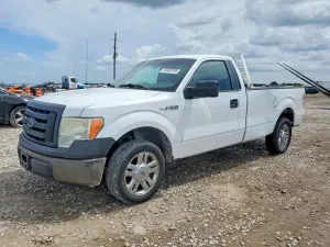 Ford F-150 4.6L 8 2010