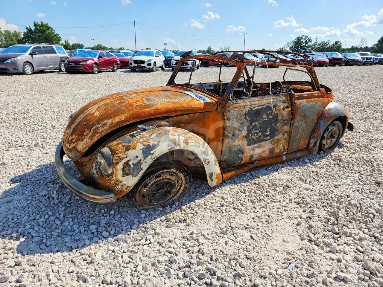 Volkswagen Beetle 1971