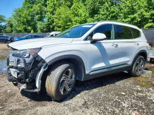 Hyundai Santa Fe 2.5L 4 2021