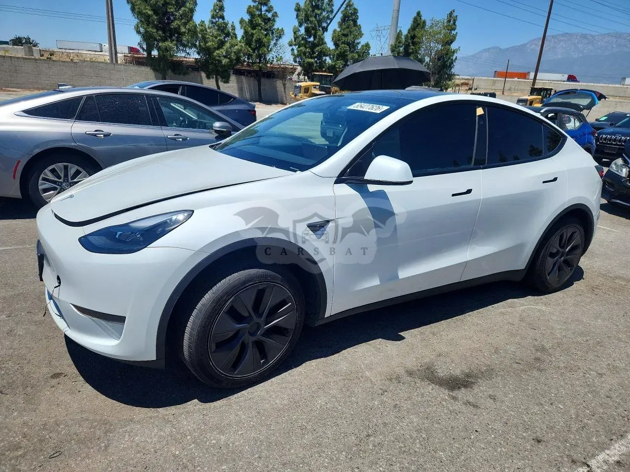 Tesla Model Y 2024